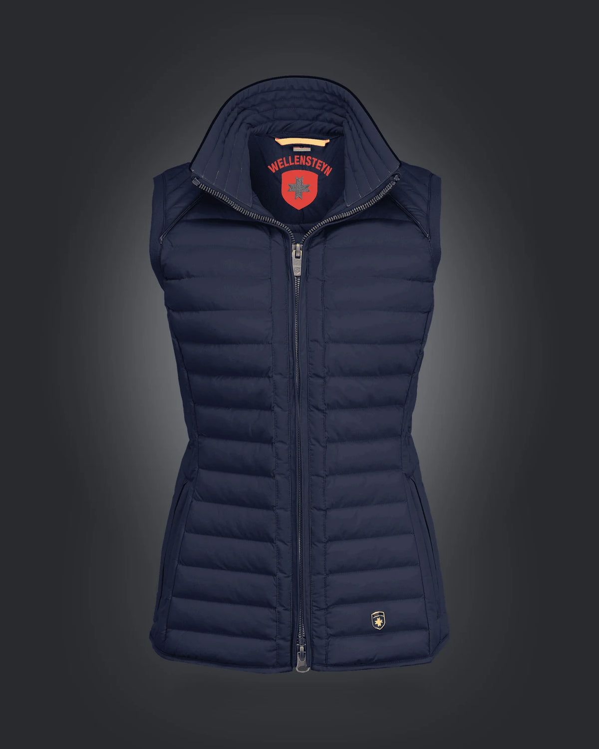MOL Vest Lady, 719, Darknavy