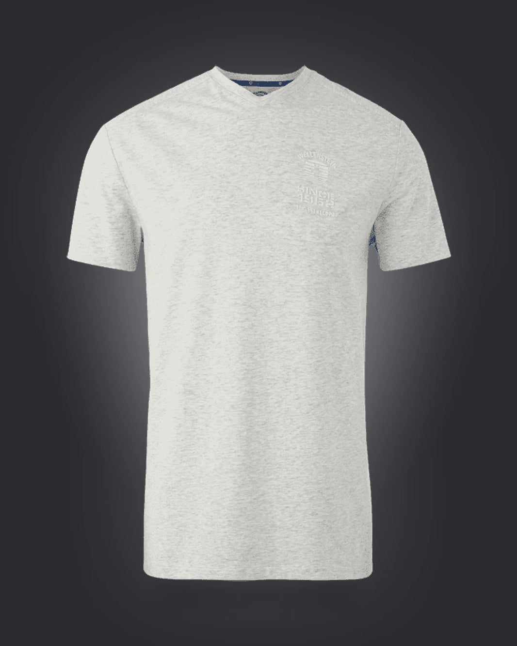 T-Shirt Men OTMSV, 972, Lightgreymelange