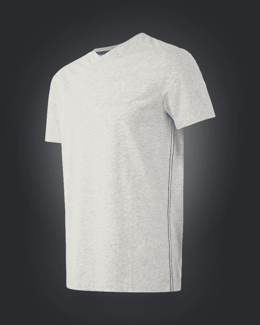 T-Shirt Men OTMSV, 972, Lightgreymelange