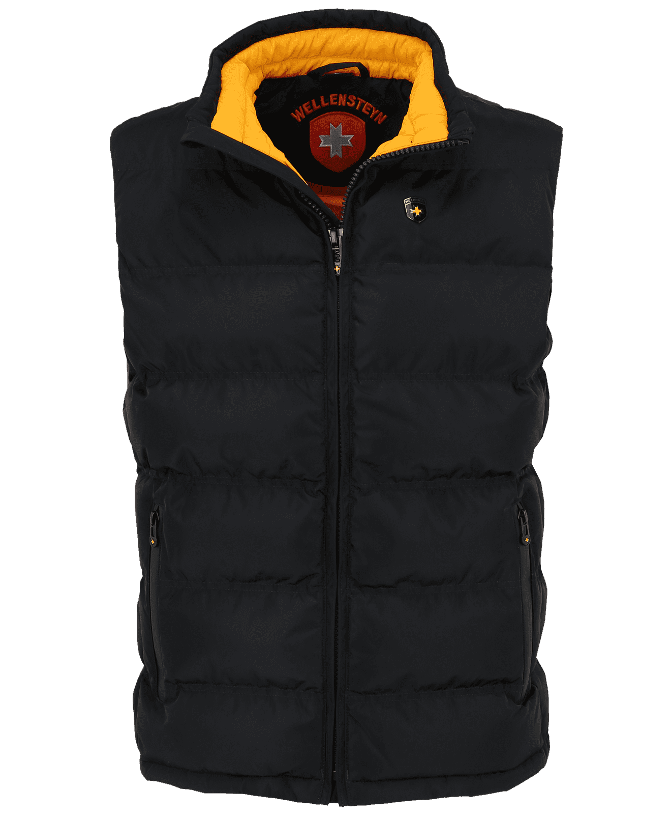 Snowdome Vest Men