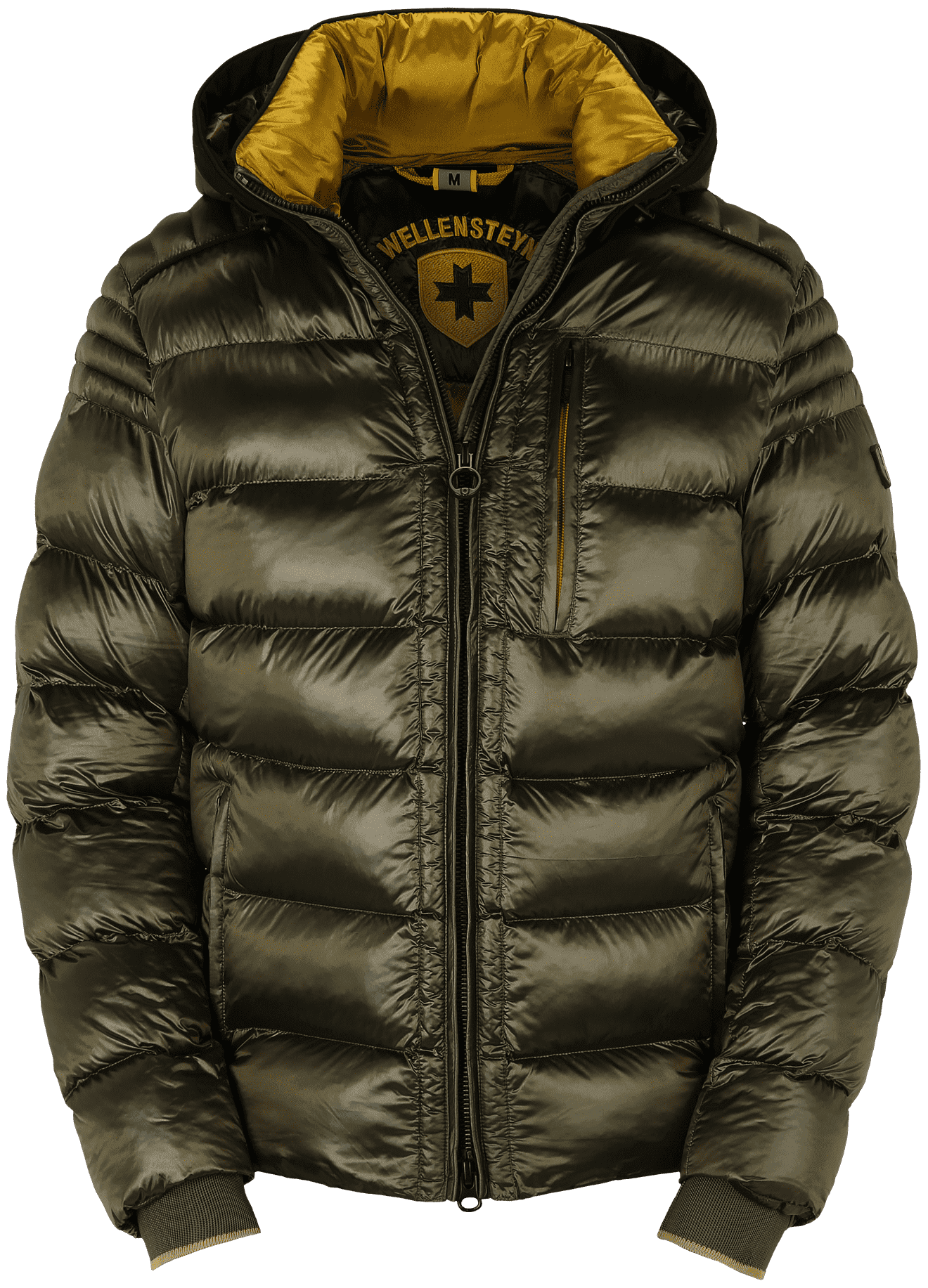 Blackjack Men Short, 1046, Darkarmy/GoldenPalm