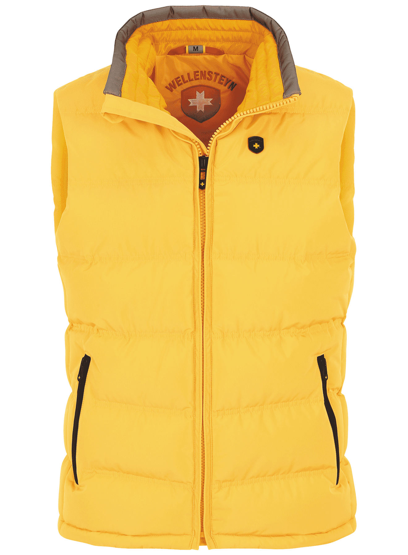 Snowdome Vest Men,560,Sun